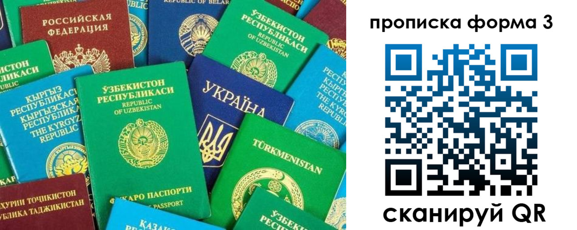регистрация в Мурманской области
